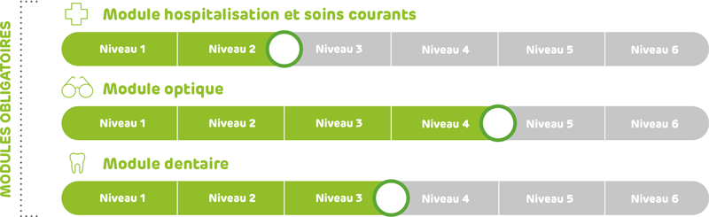 6 niveaux de garanties par module de soin avec la complémentaire santé EMOA santé entreprise
