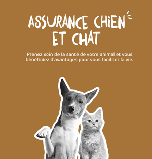 EMOA Mutuelle du Var - Assurance Chien et Chat